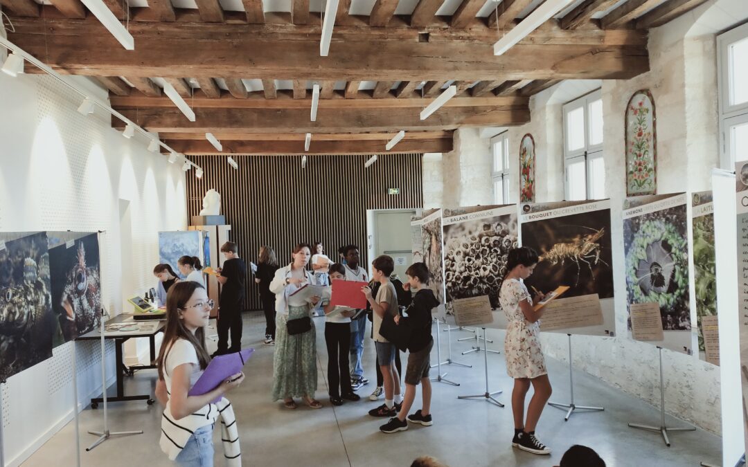 Visite de l’exposition « carnet de bord de mer »